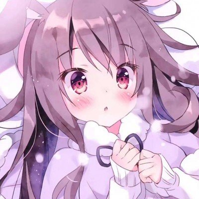 九寨沟现野生大熊猫